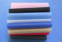 裕民涤纶（PET）无纺布是什么